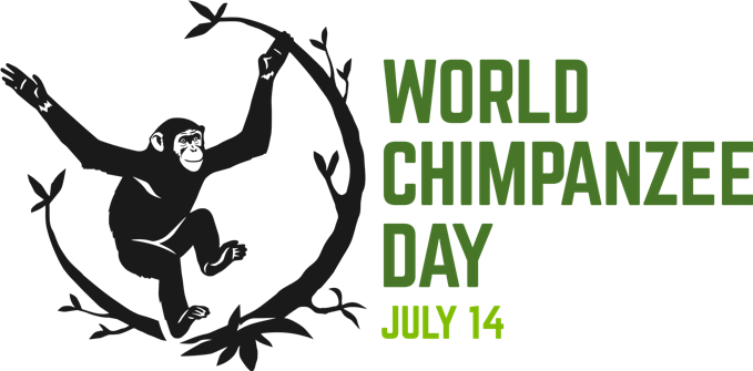 chimp_day.png
