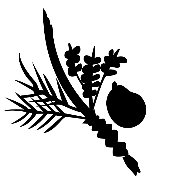 lulav
