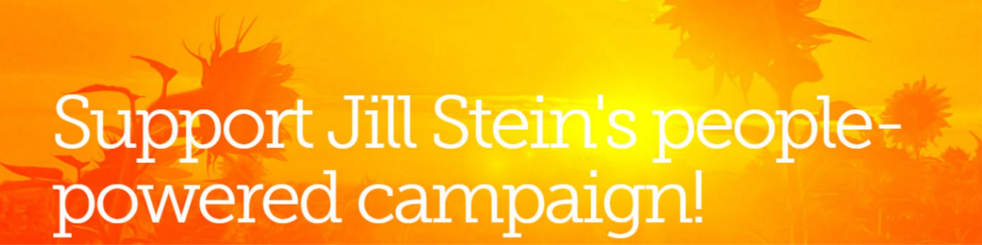 Presidential Candidate Comparison Chart Images