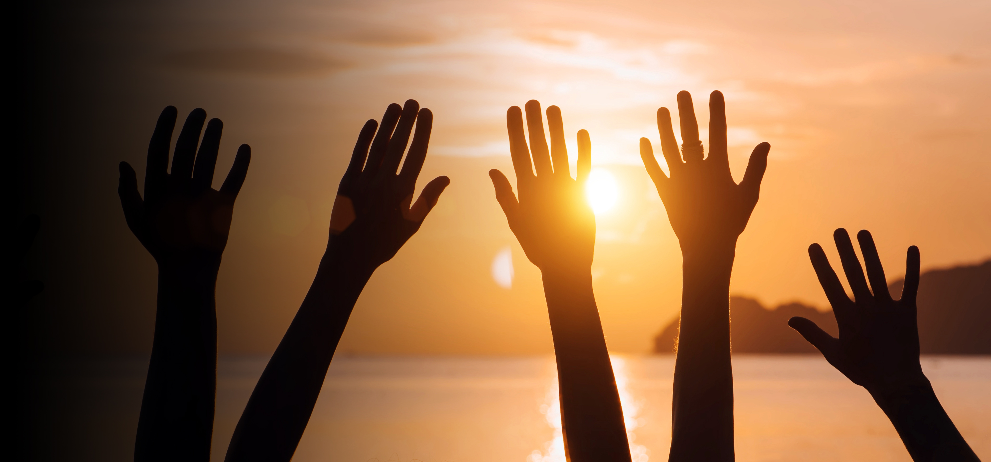  We work in partnership with other organisations seeking justice reform.