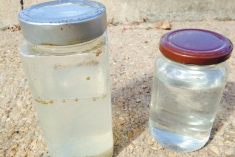 Oil_Comparison.jpg