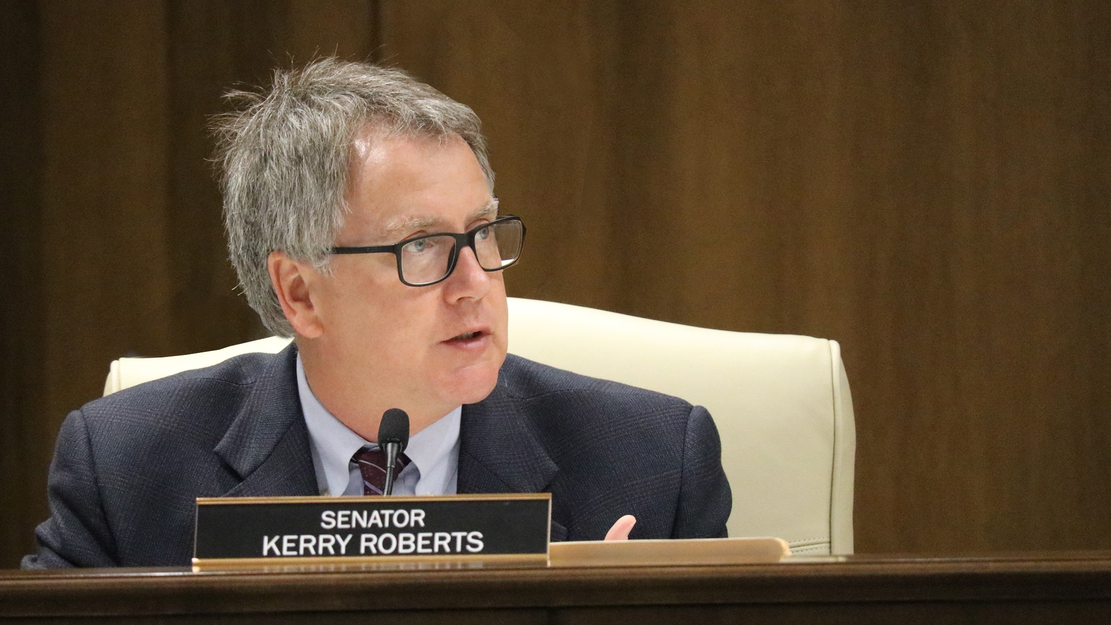 Issues - Senator Kerry Roberts