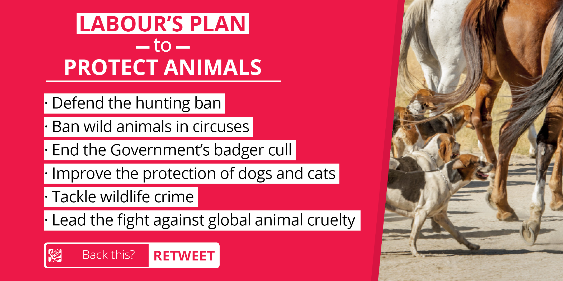 animal_protection_plan_-_twitter_image.png