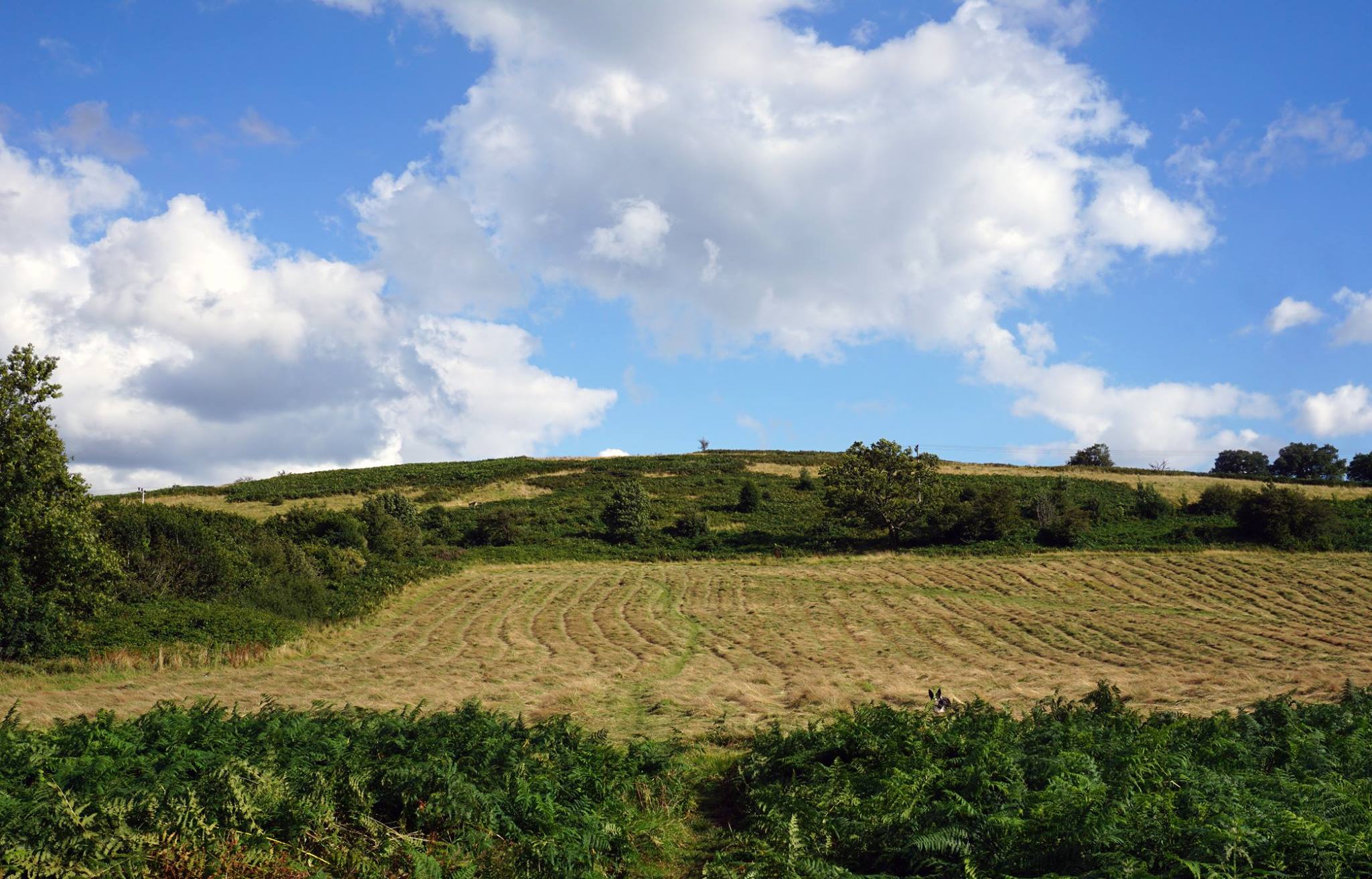 Gwern Y Domen