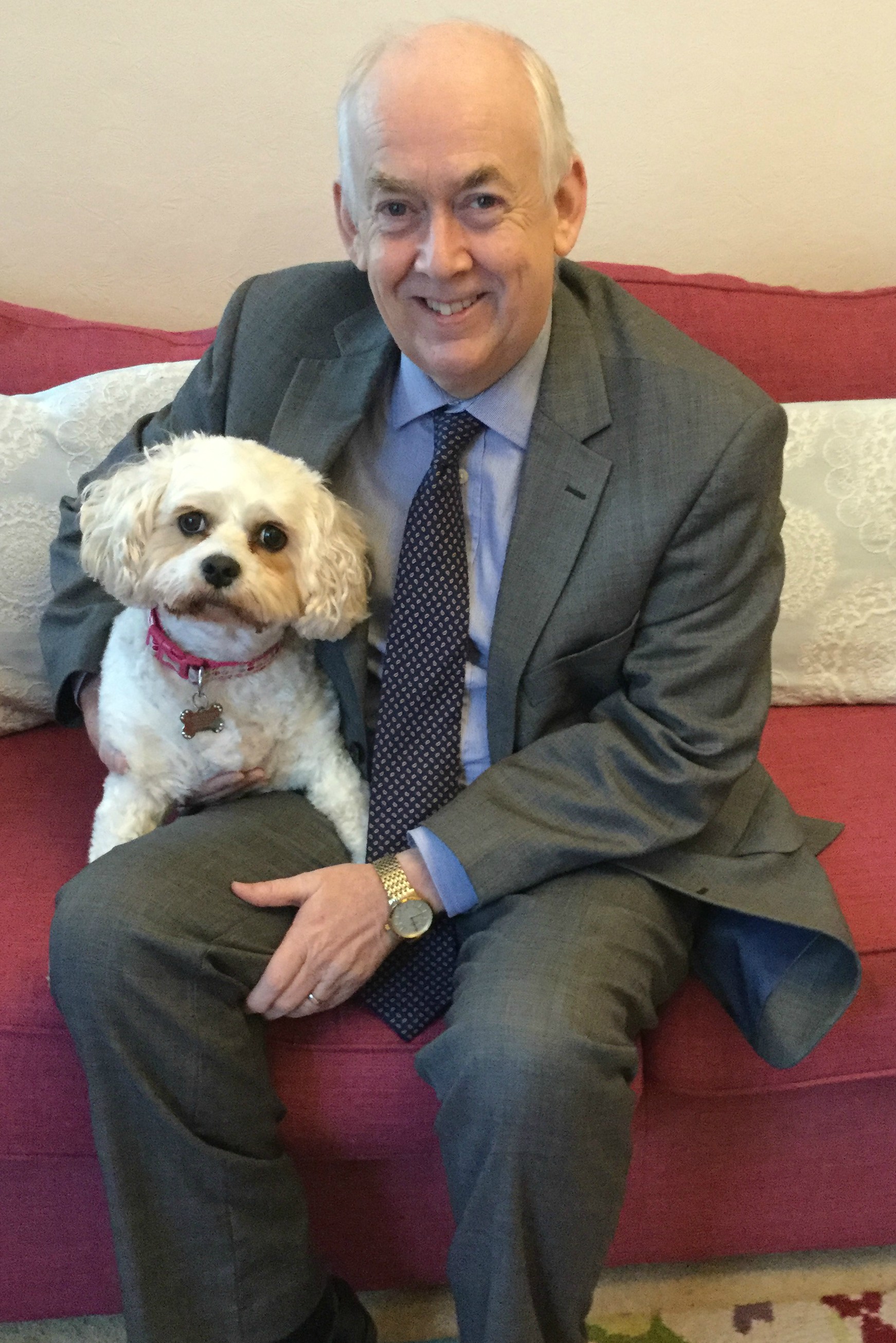 Westminster Dog of the Year