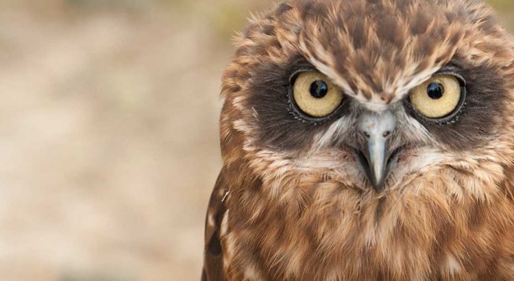 story_head_Monkton_Nature_Reserve_1920x600-750x410.jpg