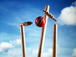 cricket_stumps.jpg