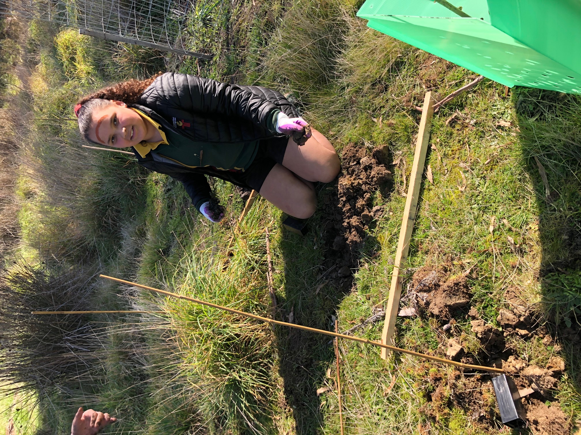 Tree Planting Success 15 Trees Landcare Tasmania