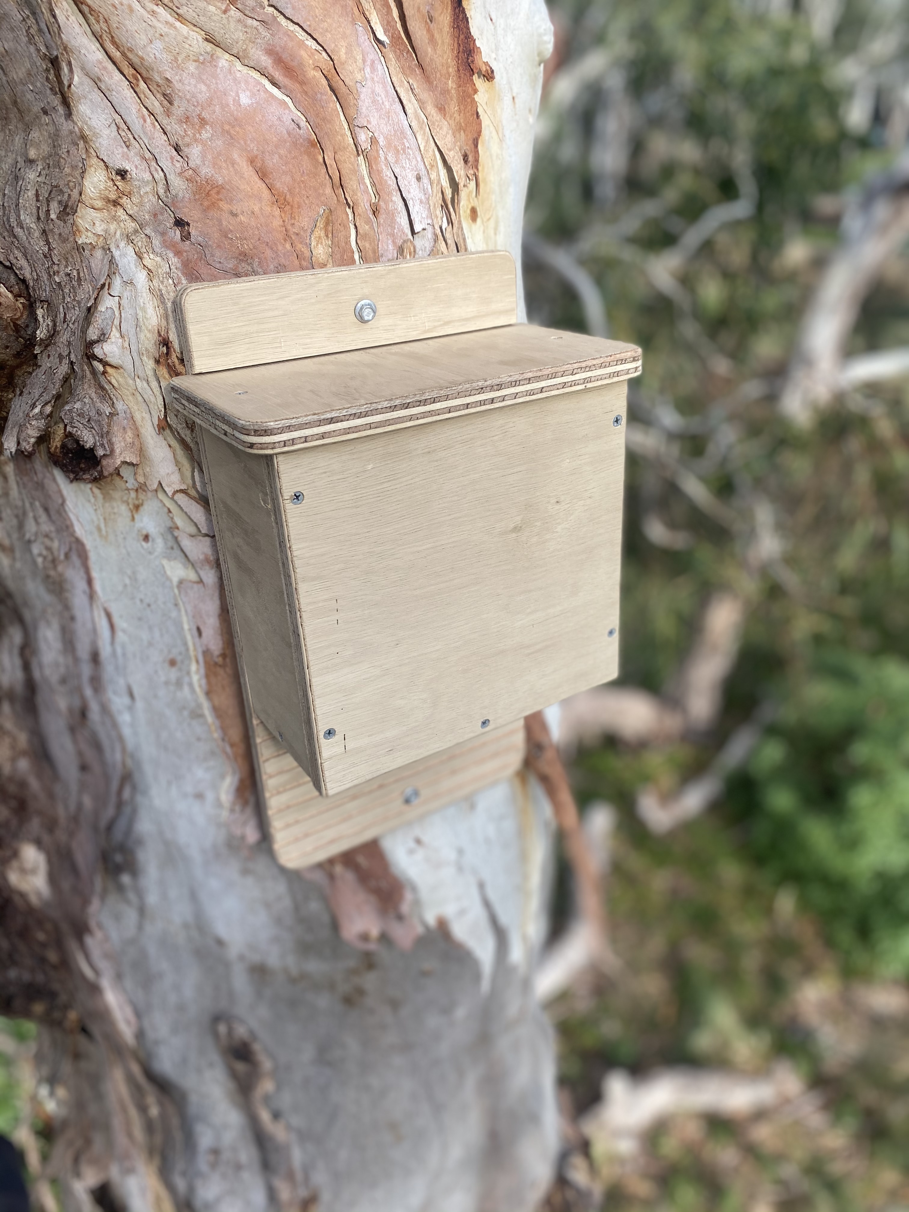 Nesting Boxes at Seven Mile Beach - Landcare Tasmania