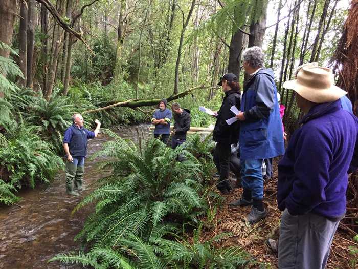 East_Tamar_NRMNorth_Giant_freshwater_crayfish_training_session_in_Lilydale..jpg