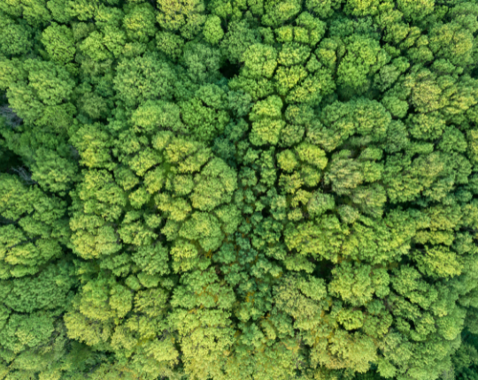 Explor'IA x Environnement