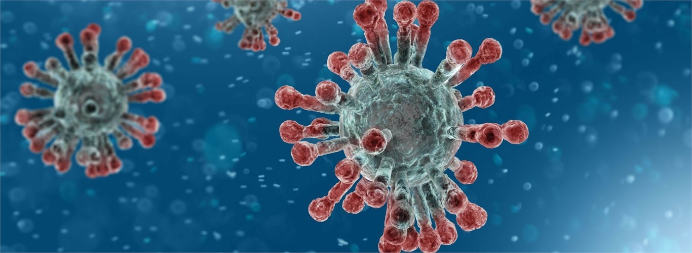 COVID-19: Further support measures for businesses and individuals affected by coronavirus
