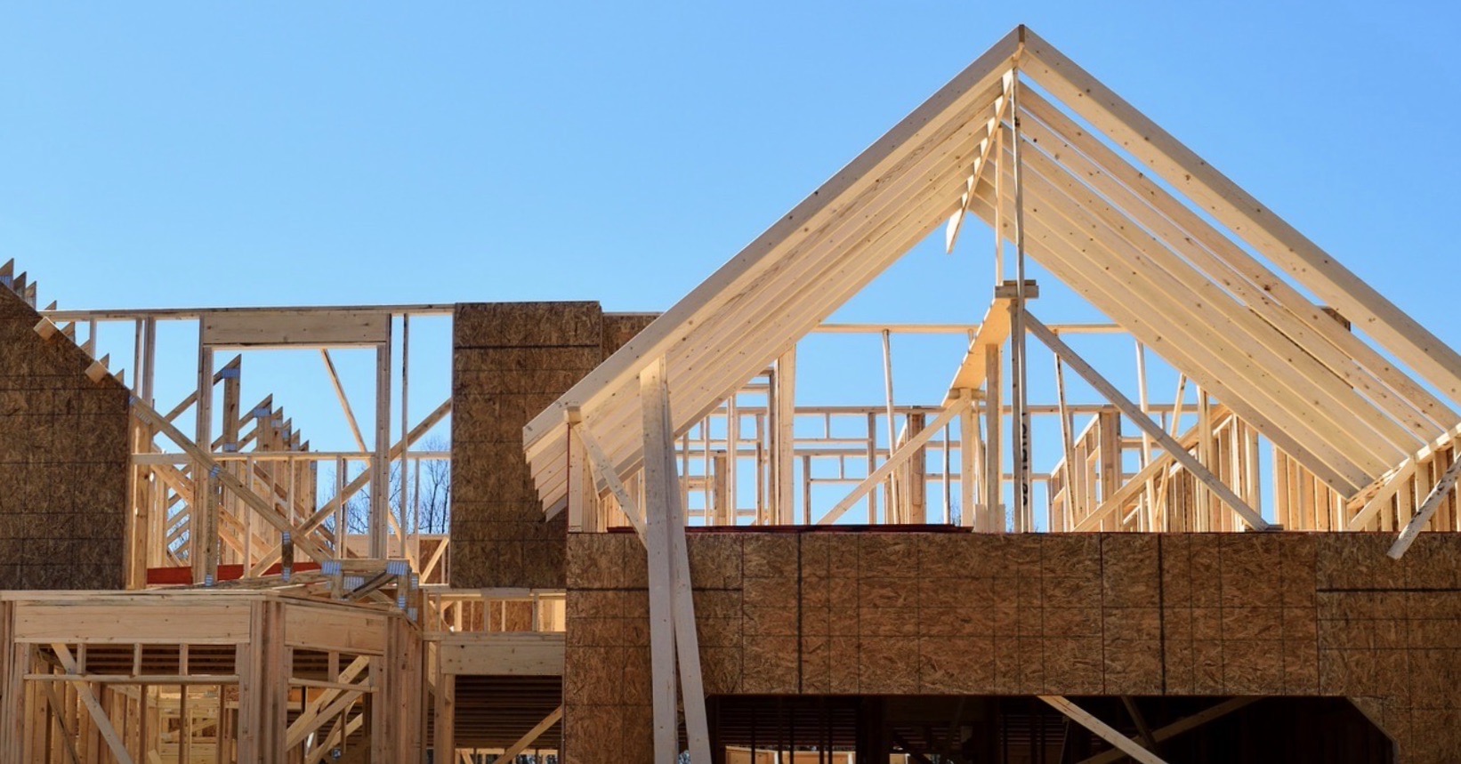 Stop Government plans to concrete over Sussex
