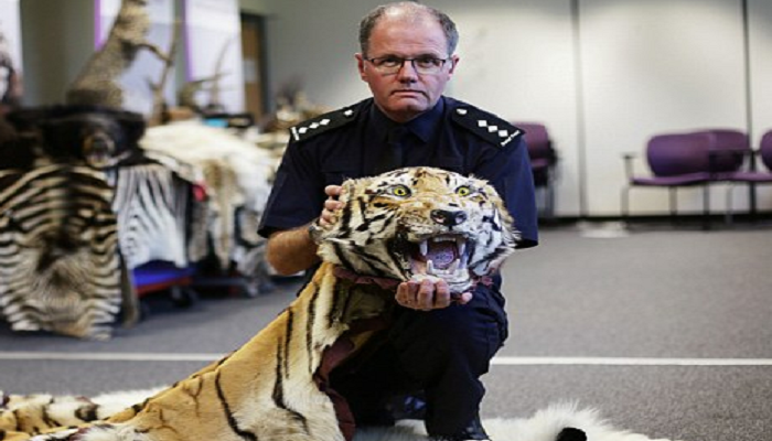 Quitting Europol would undermine fight against ivory poaching