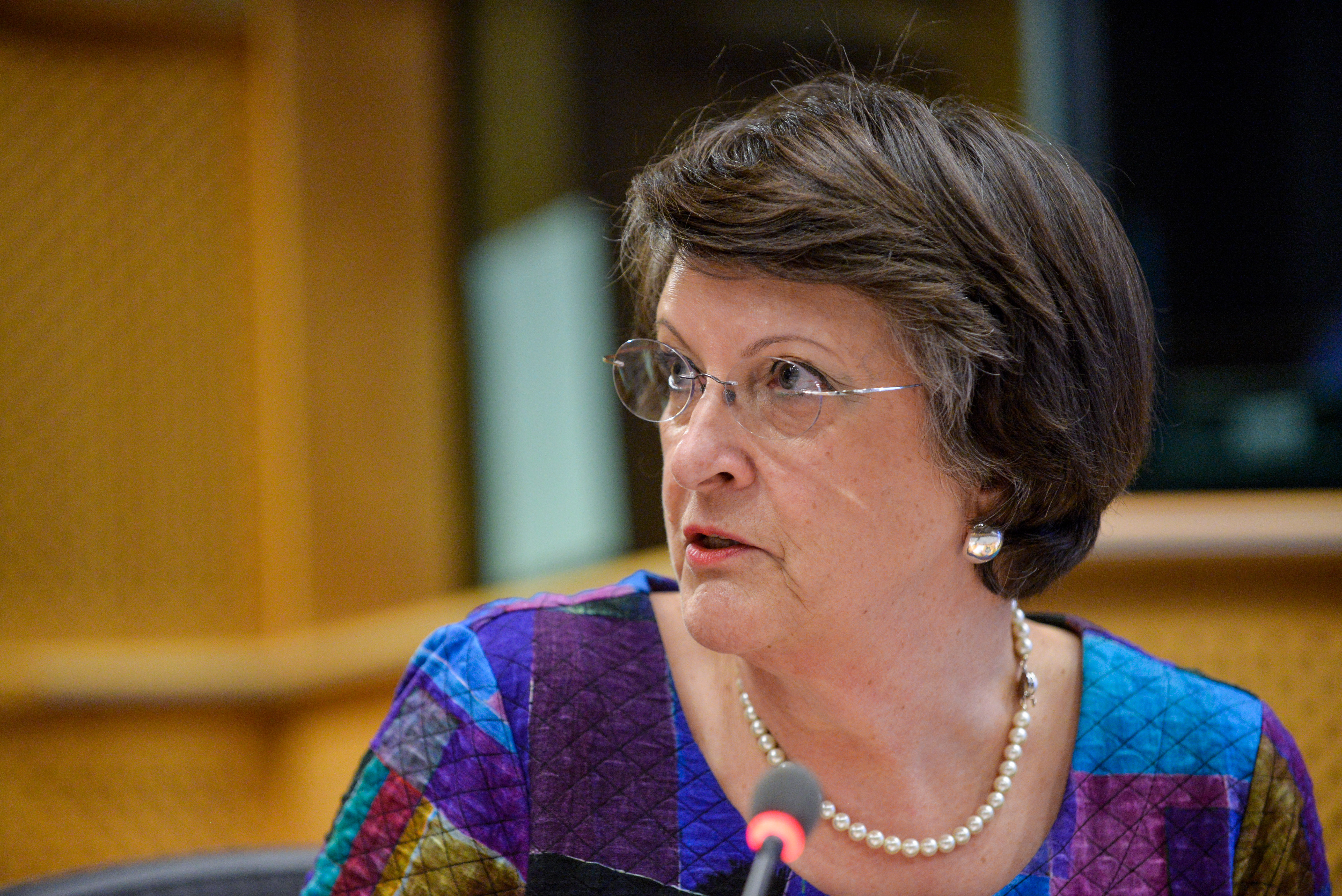 Brexit Resolution: statement from Catherine Bearder MEP