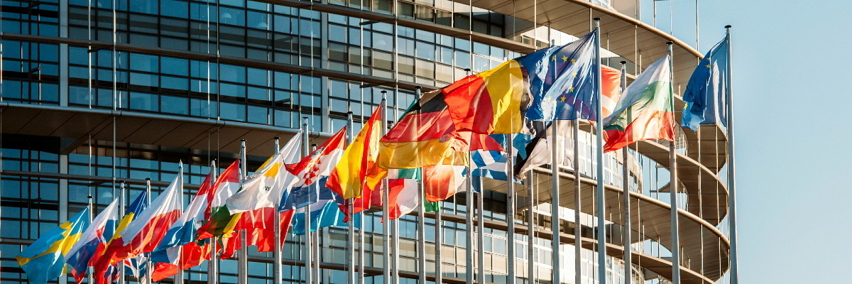 euflags.jpg