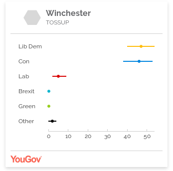 YouGov MRP Poll - Winchester Results