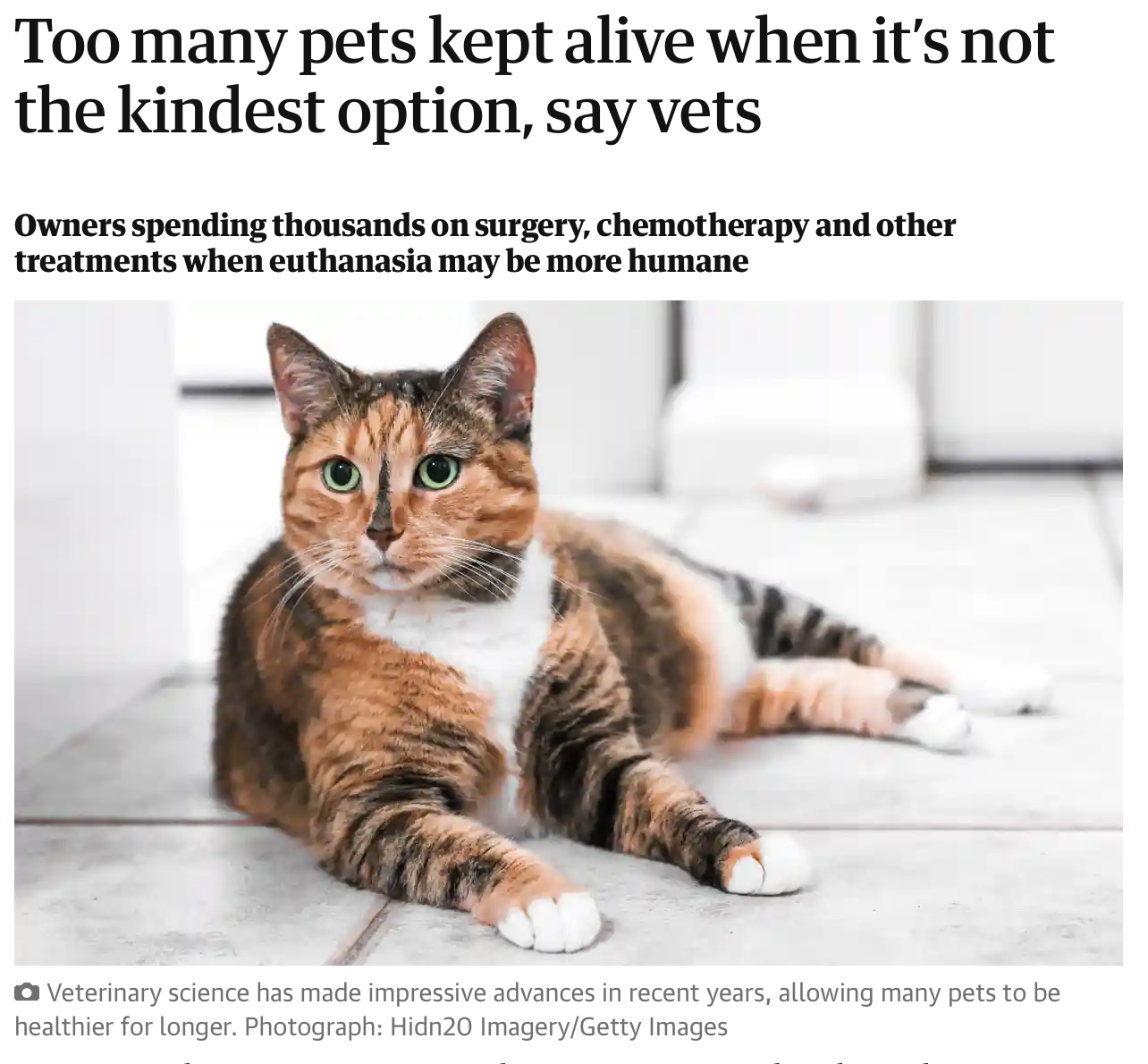 Welfare Pet Welfare