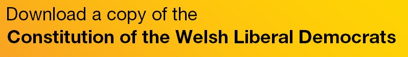 Welsh_Constitution.jpg