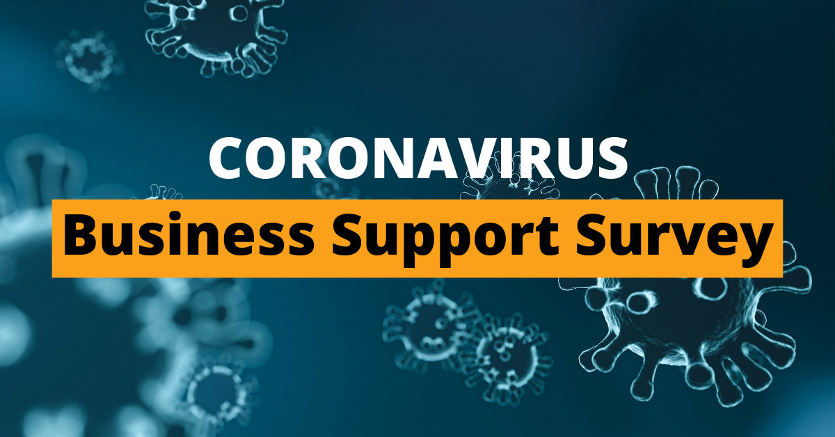 Business support survey