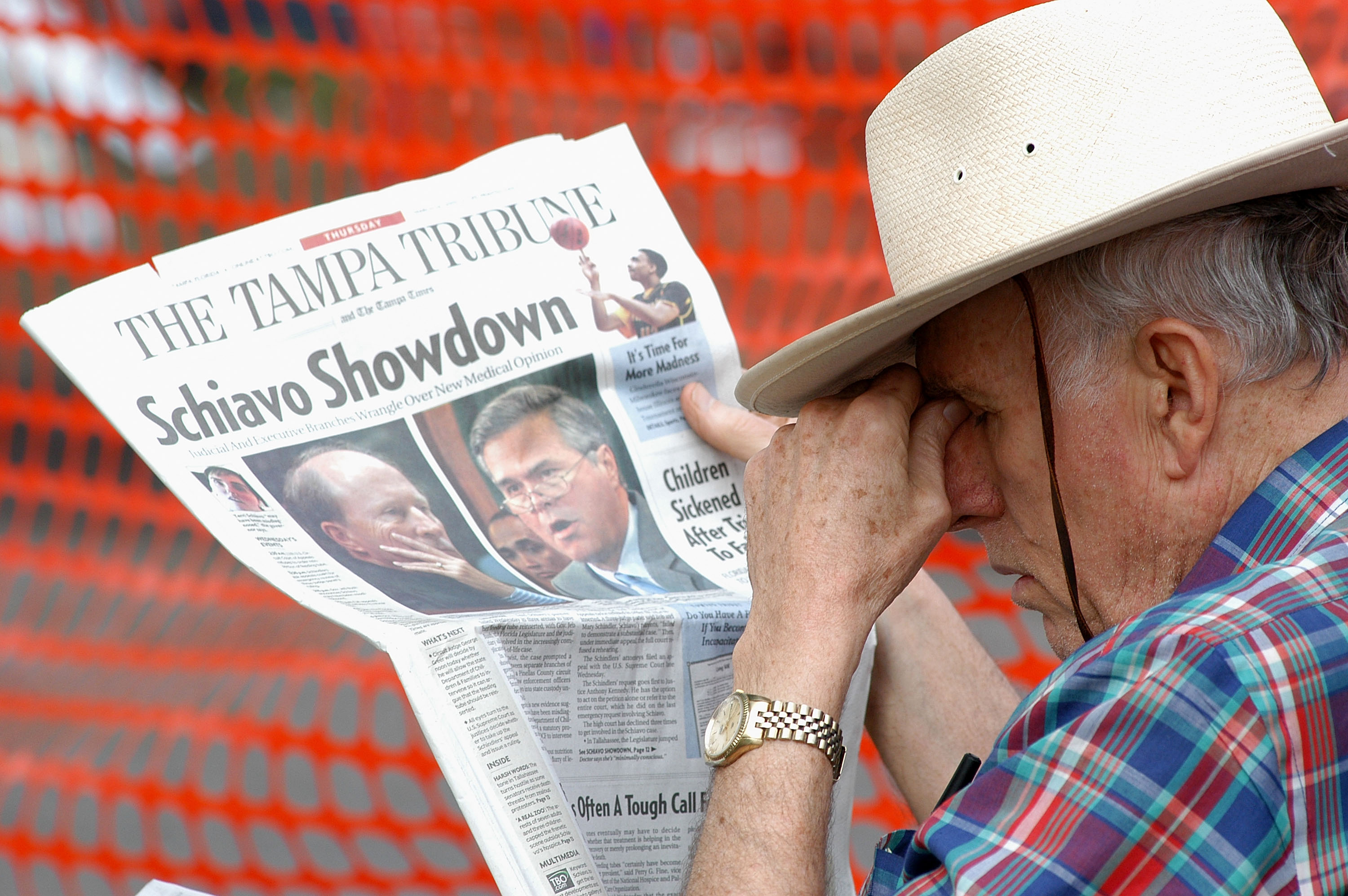 Theresa schiavo essay 04 image