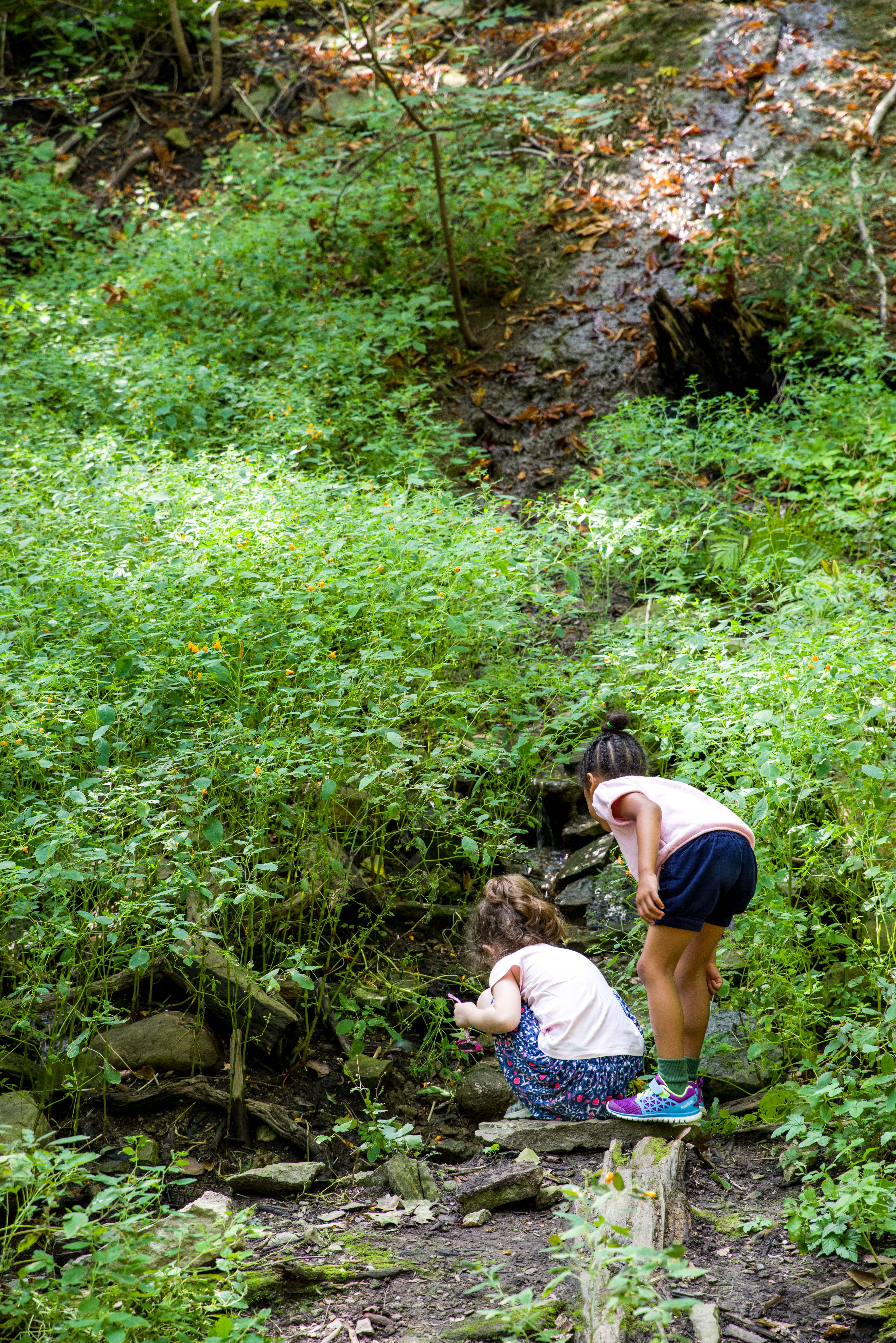Ravine-50.jpg