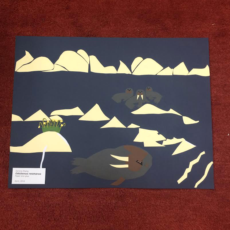 Grade 6 Art