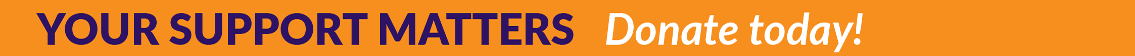 lsa-impact-report-cta-header.png