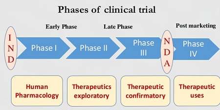 trial-phases.jpg