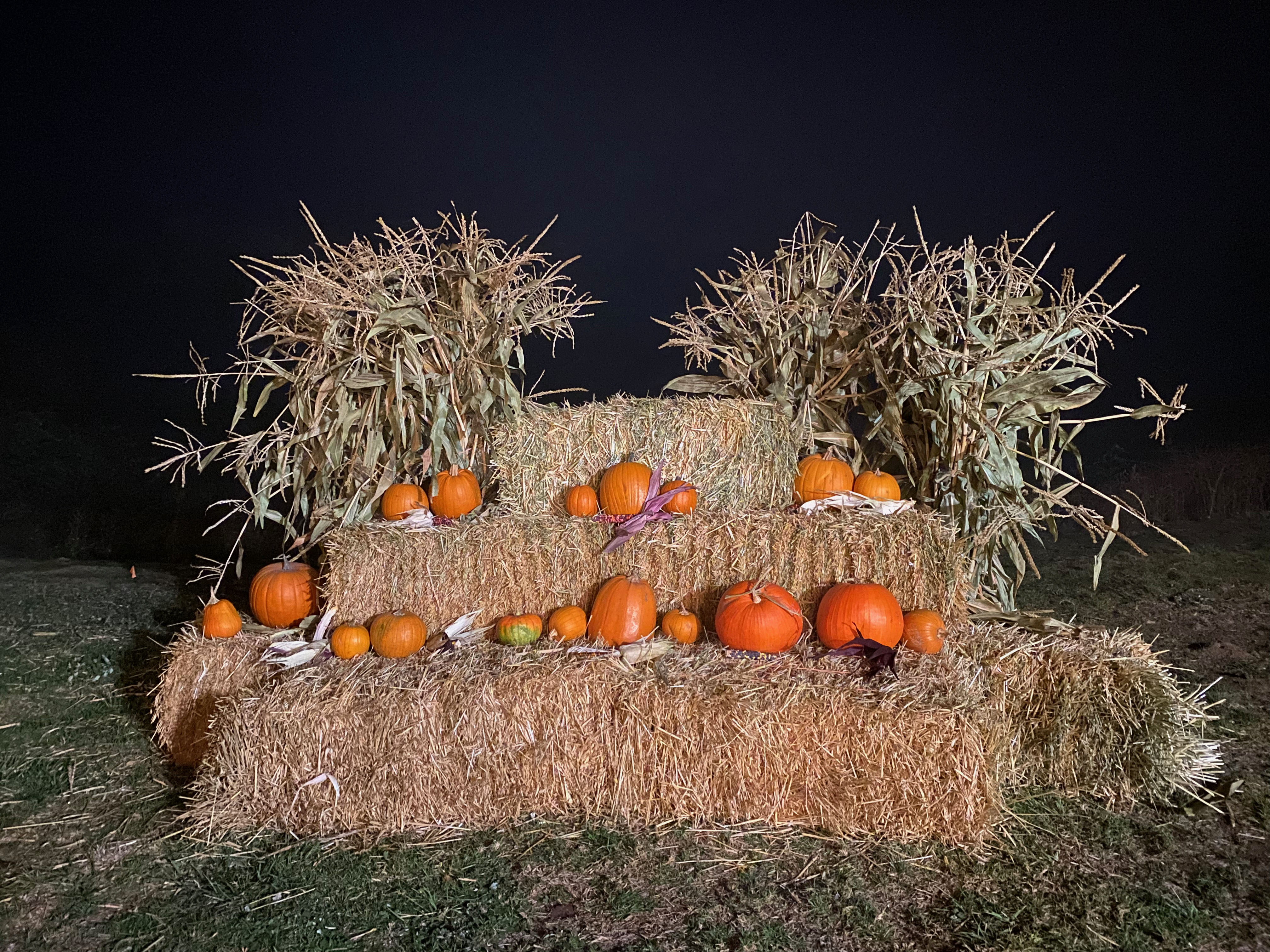 Hay_bales_photo_booth_IMG_7192.jpg
