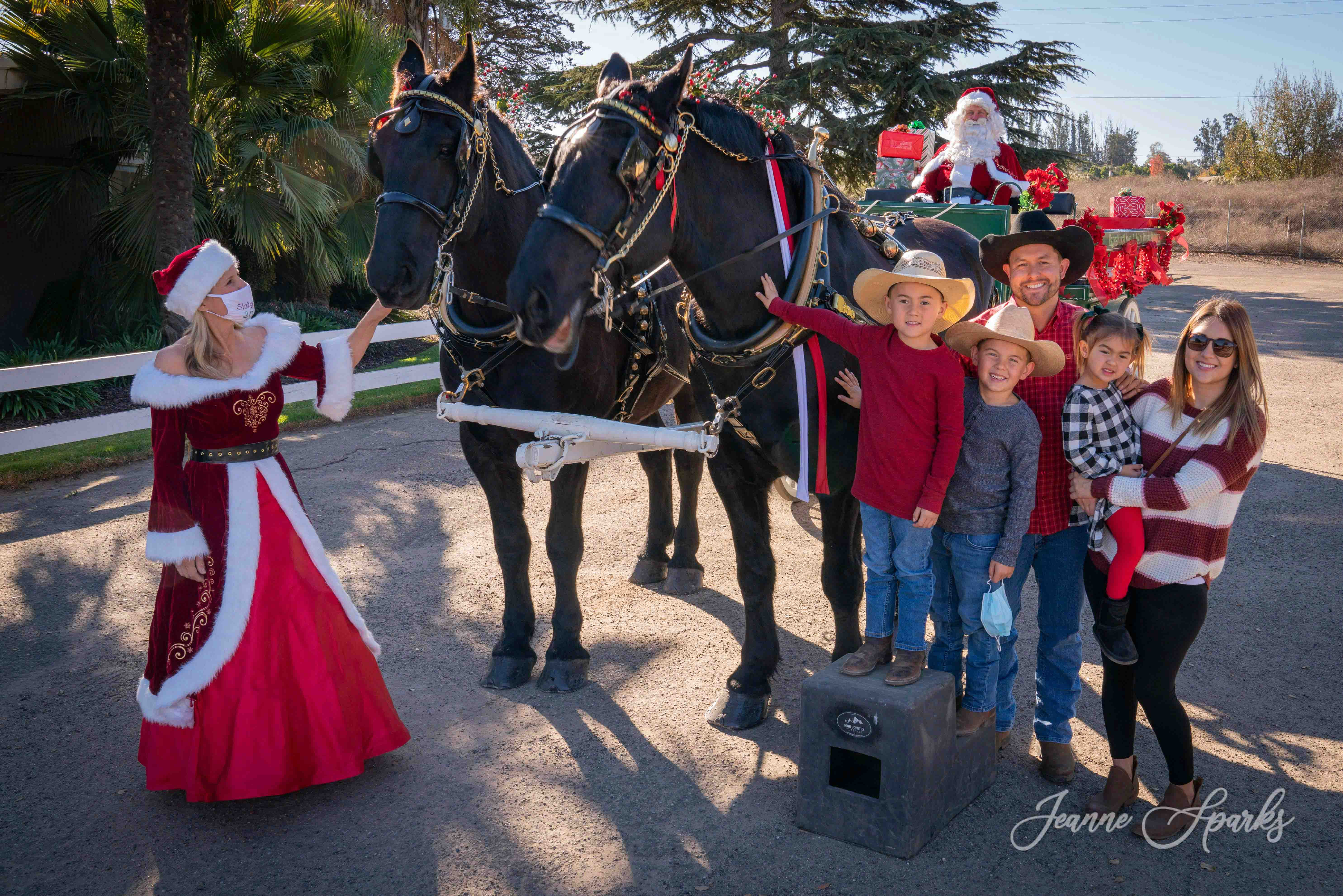 Photos with Santa and his HorseDrawn Wagon Lake Marie Valley Club