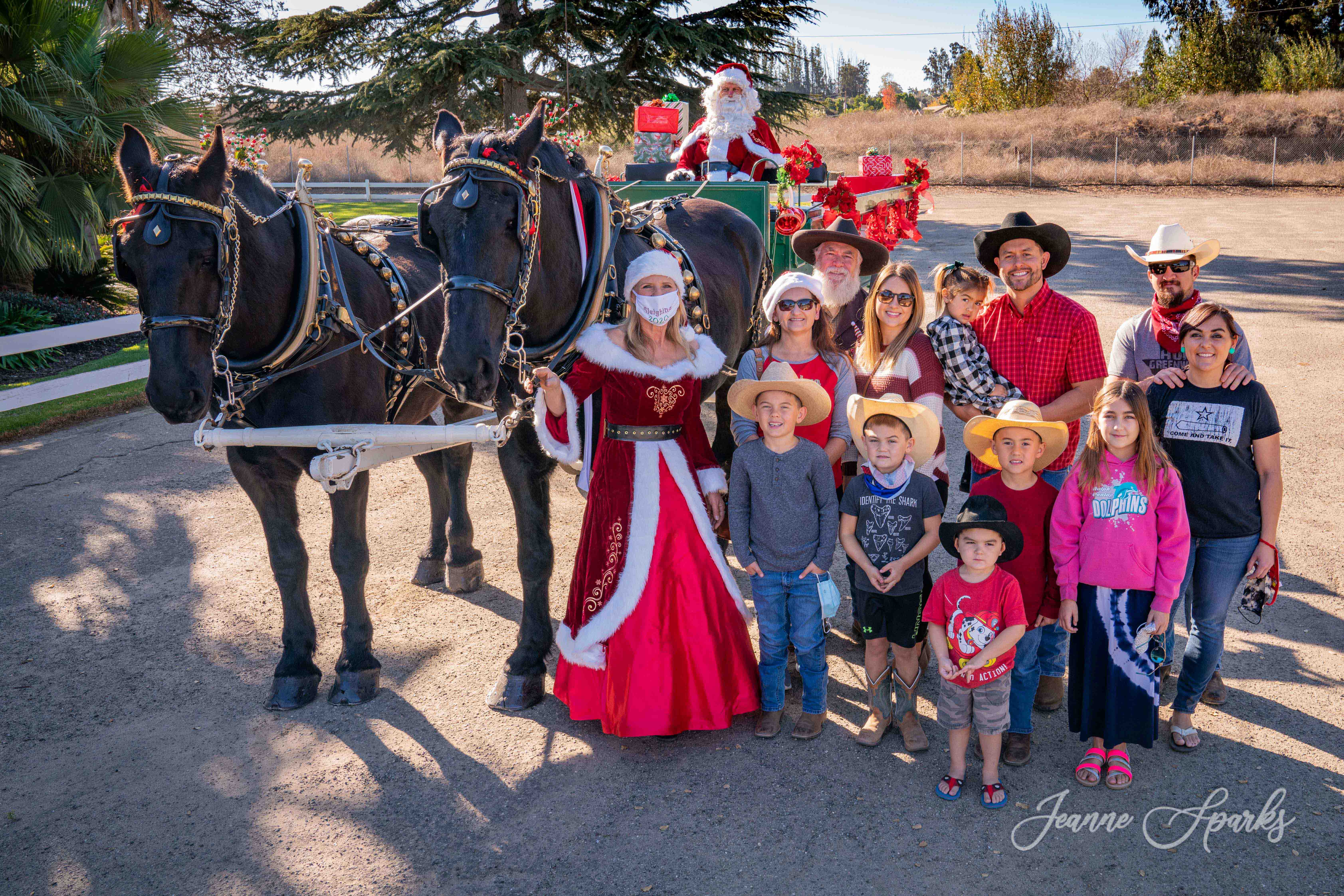 Photos with Santa and his HorseDrawn Wagon Lake Marie Valley Club