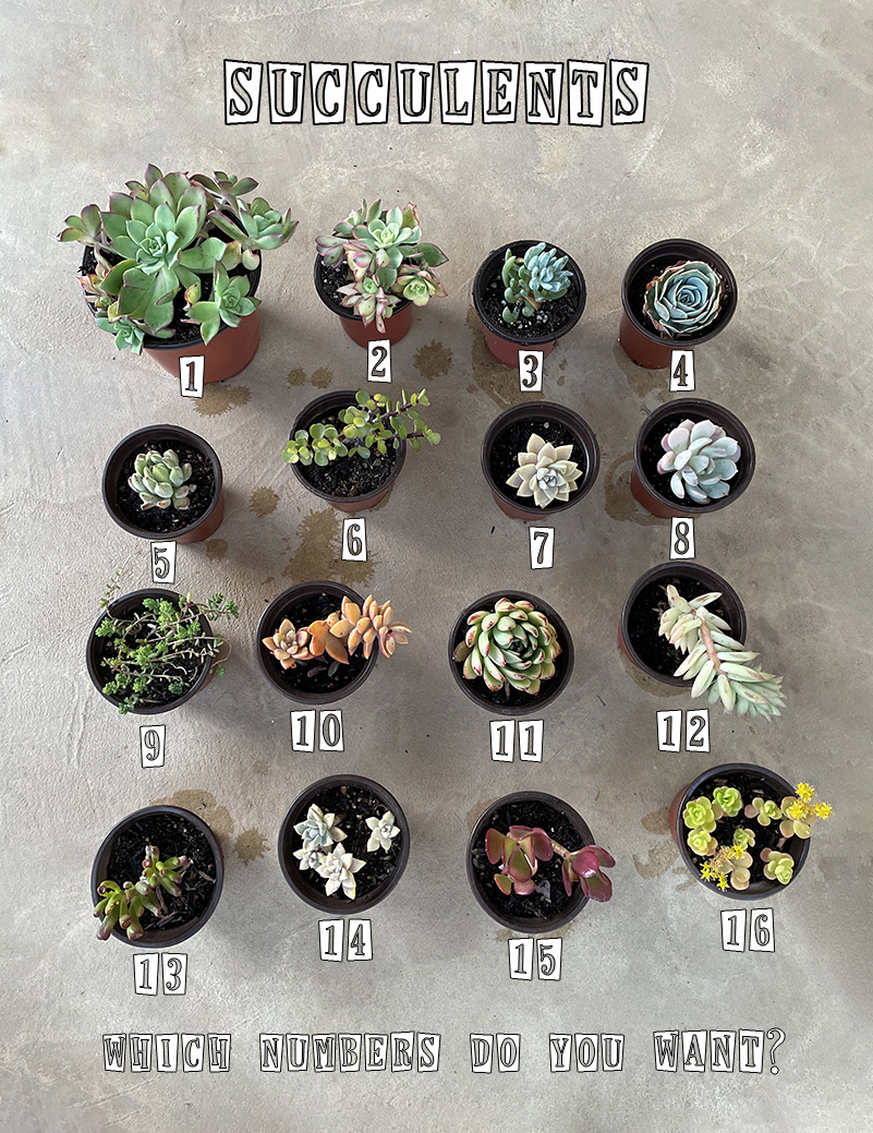 Earth Day Plant Sale Earth Day Plant Sale