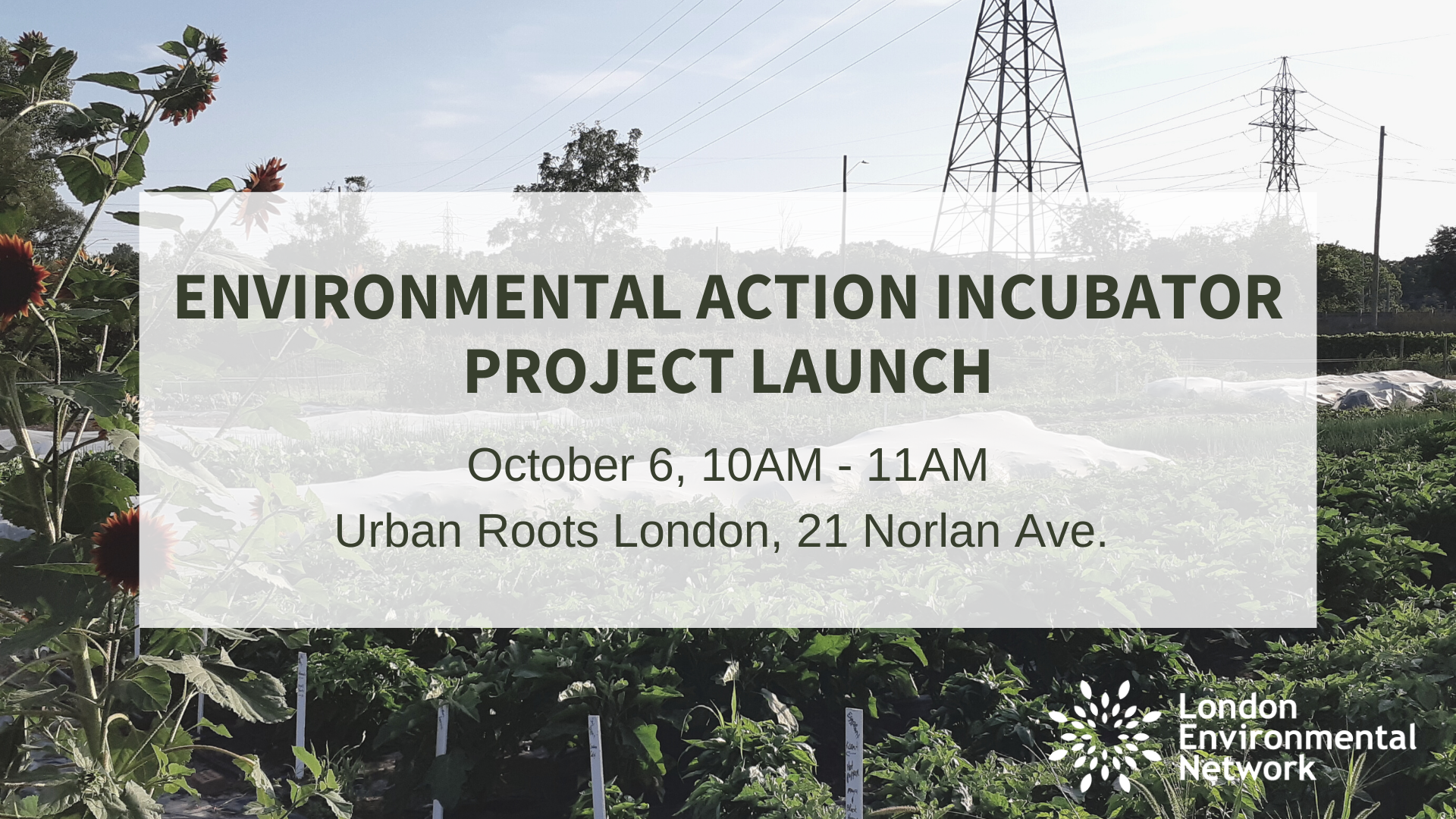 Environmental Action Incubator Project Launch - London Environmental ...