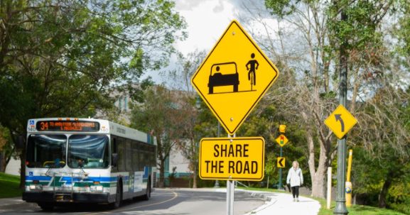 Bus Lane