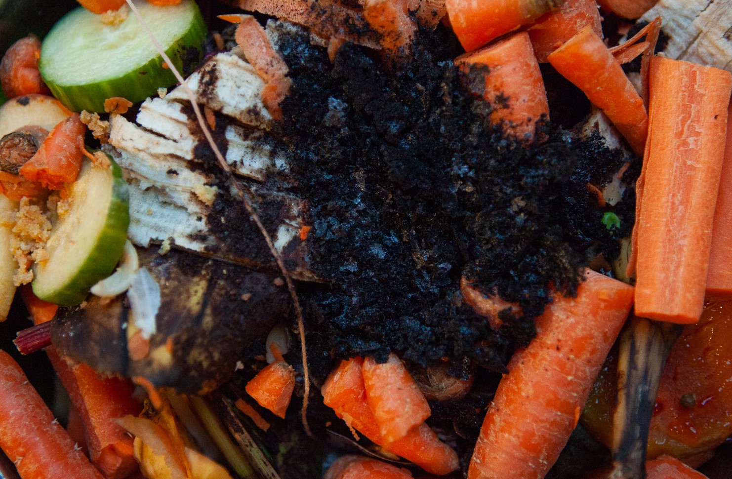 compost