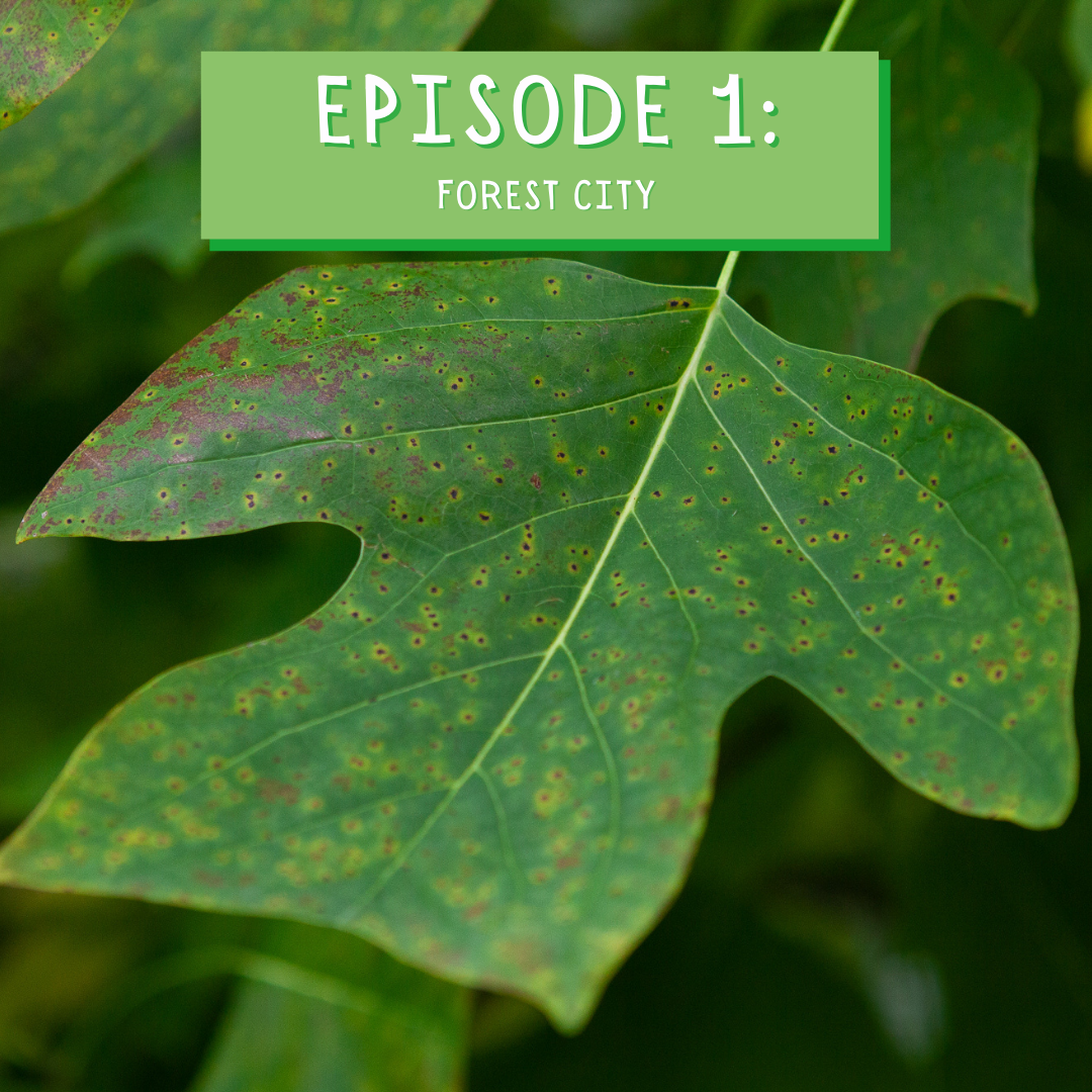 Episode Cover Art
