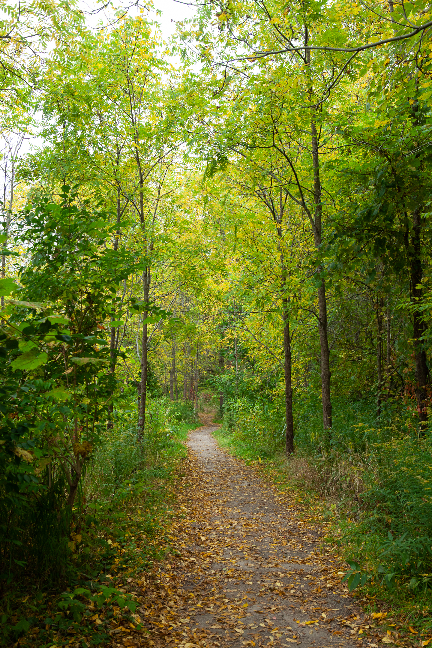 Pond Mills Path