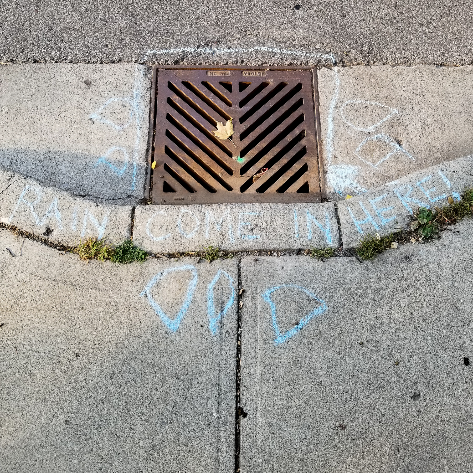 Sewer Grate