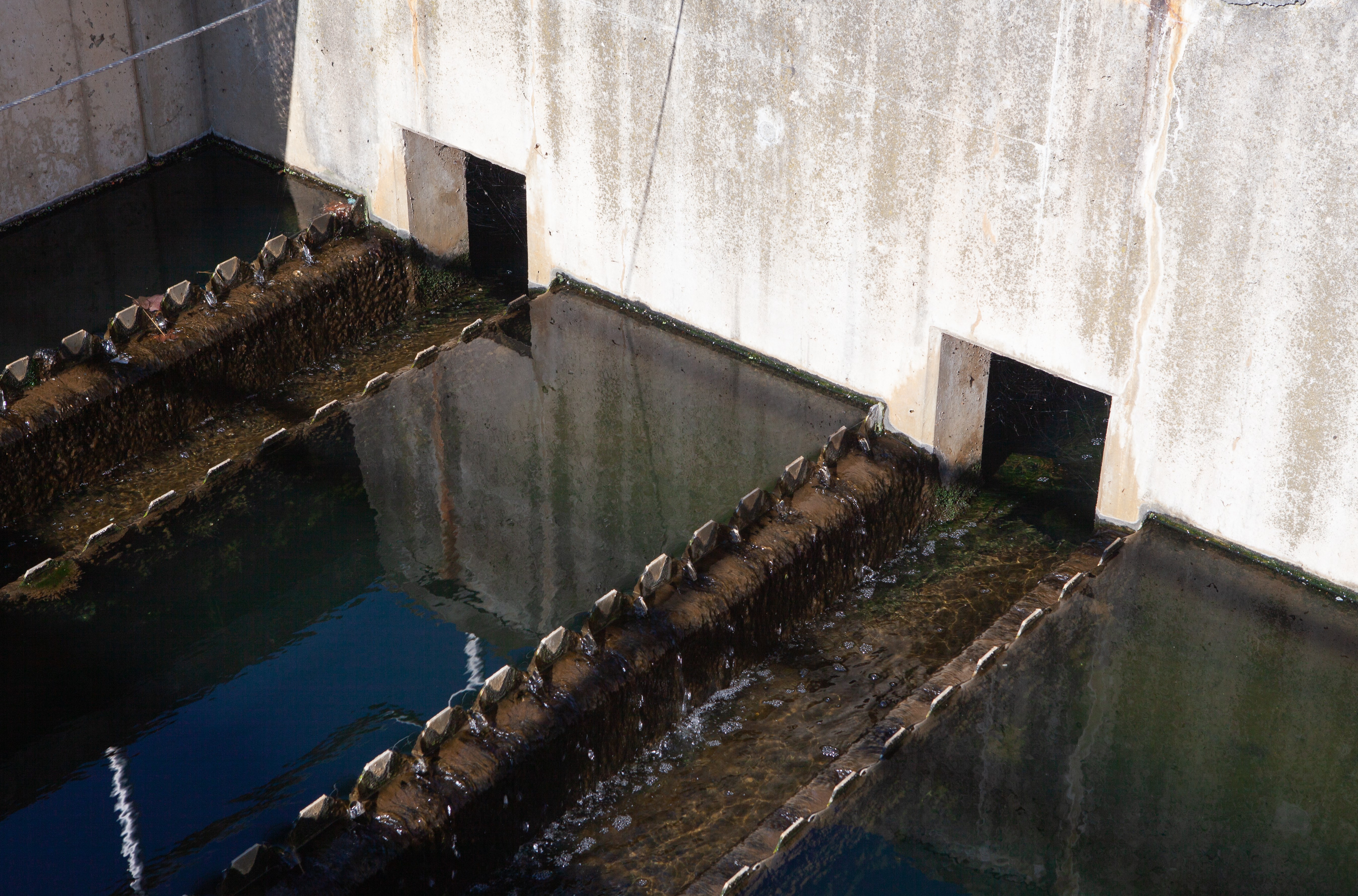 Water Treatment Holding Tank