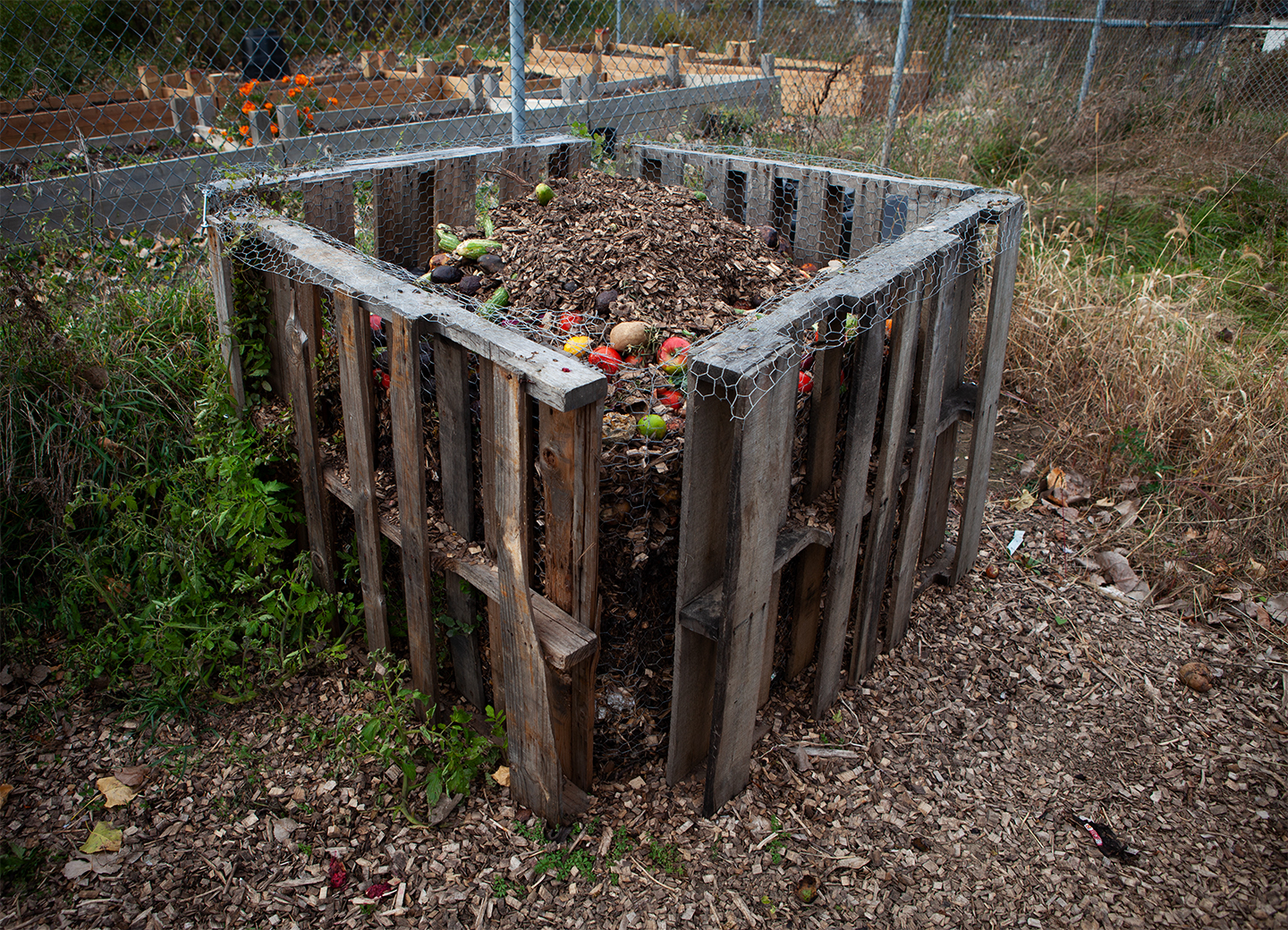 Compost bin filled with organic material