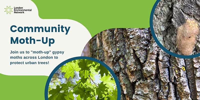 Community Moth-Up Poster