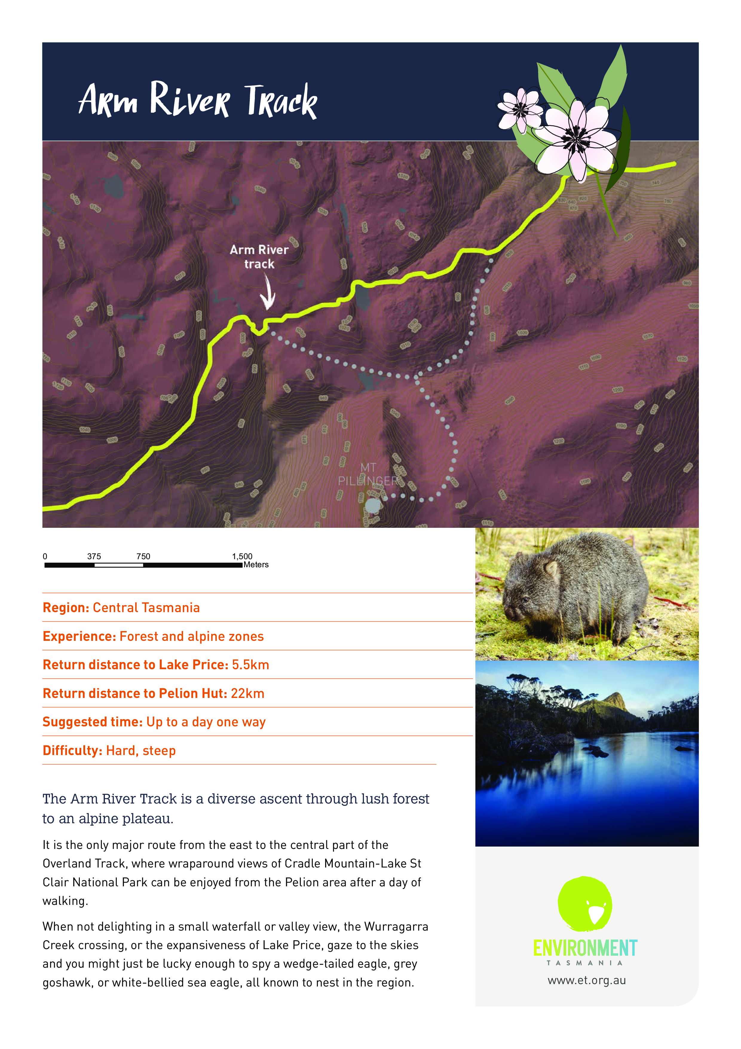 Arm River Track Environment Tasmania