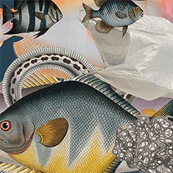 fish.jpg