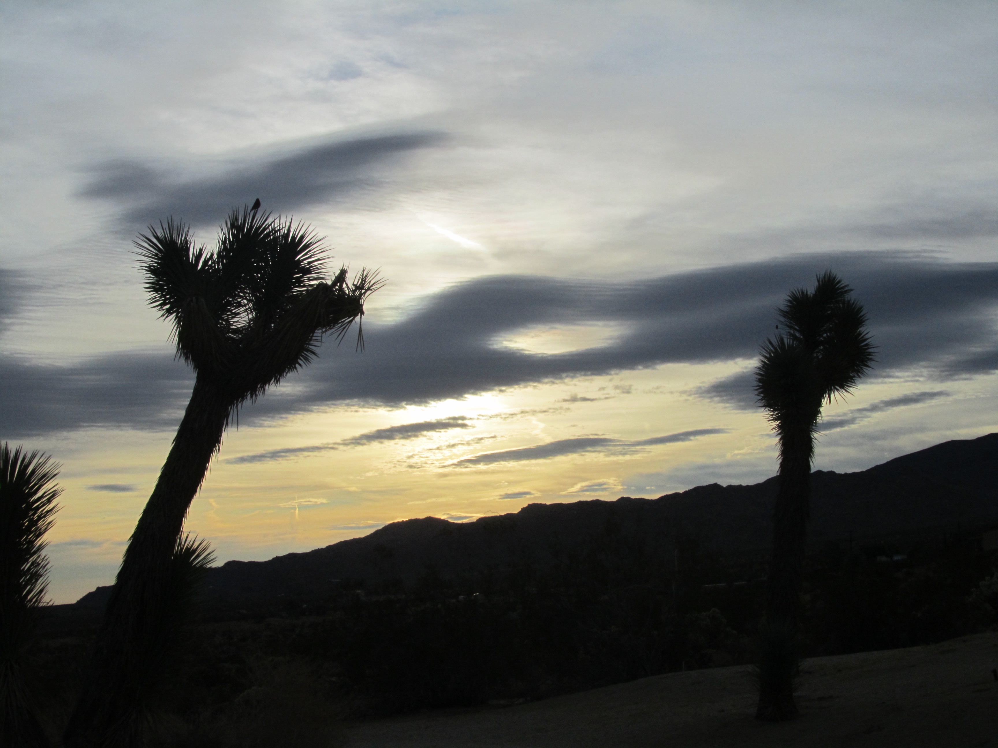 eye_in_the_clouds_(1).jpeg