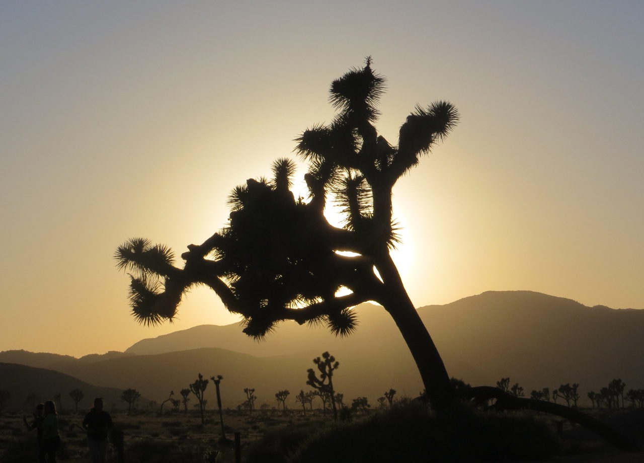 sunset_from_Cap_Rock_area.jpg