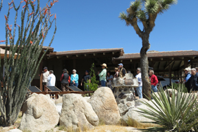 H_DWL_yard__house__people2.jpg