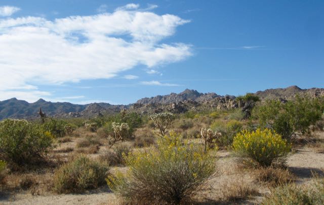 desert_scenic.jpg