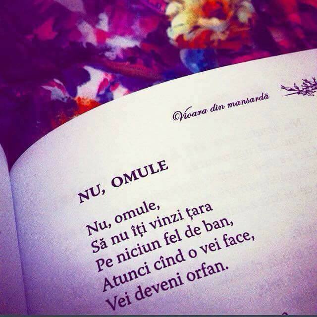 Vasile Janu Vasile Janu