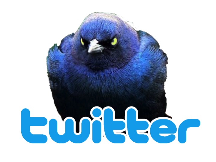 Twitter_logo_MediuM.jpg